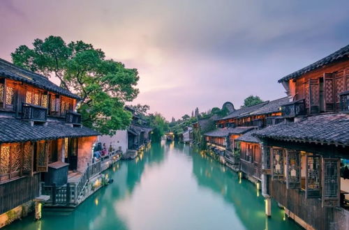 嘉興,一個讓人發胖的地方